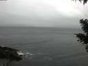 ./images/koeye/fitz-hugh/20210204/fitz-hugh20210204_140002.jpg