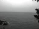 ./images/koeye/fitz-hugh/20210204/fitz-hugh20210204_160001.jpg