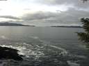 ./images/koeye/fitz-hugh/20210205/fitz-hugh20210205_122002.jpg