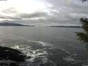 ./images/koeye/fitz-hugh/20210205/fitz-hugh20210205_122502.jpg