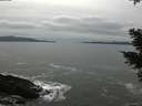 ./images/koeye/fitz-hugh/20210205/fitz-hugh20210205_144002.jpg