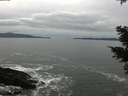 ./images/koeye/fitz-hugh/20210205/fitz-hugh20210205_144502.jpg