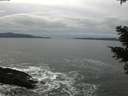 ./images/koeye/fitz-hugh/20210205/fitz-hugh20210205_150502.jpg