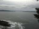 ./images/koeye/fitz-hugh/20210205/fitz-hugh20210205_151502.jpg