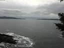 ./images/koeye/fitz-hugh/20210205/fitz-hugh20210205_152002.jpg
