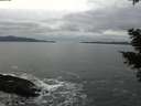 ./images/koeye/fitz-hugh/20210205/fitz-hugh20210205_152502.jpg
