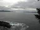 ./images/koeye/fitz-hugh/20210205/fitz-hugh20210205_153502.jpg