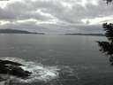 ./images/koeye/fitz-hugh/20210205/fitz-hugh20210205_155501.jpg