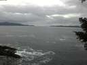 ./images/koeye/fitz-hugh/20210205/fitz-hugh20210205_163501.jpg