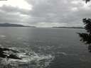 ./images/koeye/fitz-hugh/20210205/fitz-hugh20210205_165001.jpg