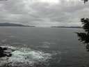 ./images/koeye/fitz-hugh/20210205/fitz-hugh20210205_165501.jpg