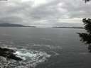 ./images/koeye/fitz-hugh/20210205/fitz-hugh20210205_170501.jpg