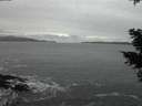 ./images/koeye/fitz-hugh/20210205/fitz-hugh20210205_180502.jpg