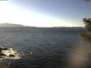 ./images/koeye/fitz-hugh/20210210/fitz-hugh20210210_140002.jpg