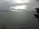./images/koeye/fitz-hugh/20210214/fitz-hugh20210214_140001.jpg