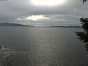 ./images/koeye/fitz-hugh/20210214/fitz-hugh20210214_160002.jpg