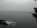 ./images/koeye/fitz-hugh/20210214/fitz-hugh20210214_180002.jpg