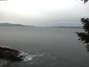 ./images/koeye/fitz-hugh/20210215/fitz-hugh20210215_080002.jpg