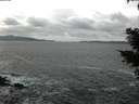 ./images/koeye/fitz-hugh/20210216/fitz-hugh20210216_140002.jpg