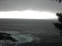 ./images/koeye/fitz-hugh/20210219/fitz-hugh20210219_140002.jpg