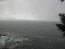 ./images/koeye/fitz-hugh/20210223/fitz-hugh20210223_103001.jpg