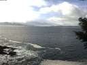 ./images/koeye/fitz-hugh/20210223/fitz-hugh20210223_123001.jpg