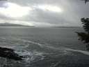 ./images/koeye/fitz-hugh/20210223/fitz-hugh20210223_130002.jpg