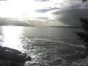 ./images/koeye/fitz-hugh/20210223/fitz-hugh20210223_155501.jpg