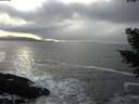 ./images/koeye/fitz-hugh/20210223/fitz-hugh20210223_160502.jpg