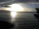./images/koeye/fitz-hugh/20210223/fitz-hugh20210223_164502.jpg