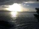 ./images/koeye/fitz-hugh/20210223/fitz-hugh20210223_165002.jpg