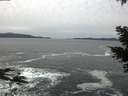 ./images/koeye/fitz-hugh/20210224/fitz-hugh20210224_080001.jpg