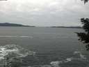 ./images/koeye/fitz-hugh/20210224/fitz-hugh20210224_100002.jpg