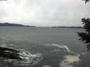 ./images/koeye/fitz-hugh/20210224/fitz-hugh20210224_140001.jpg