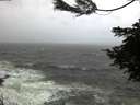 ./images/koeye/fitz-hugh/20210225/fitz-hugh20210225_080001.jpg