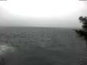 ./images/koeye/fitz-hugh/20210225/fitz-hugh20210225_120001.jpg