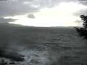 ./images/koeye/fitz-hugh/20210225/fitz-hugh20210225_160002.jpg