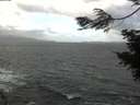 ./images/koeye/fitz-hugh/20210226/fitz-hugh20210226_120001.jpg