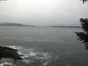 ./images/koeye/fitz-hugh/20210227/fitz-hugh20210227_080001.jpg