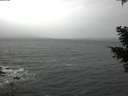 ./images/koeye/fitz-hugh/20210228/fitz-hugh20210228_120001.jpg