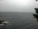 ./images/koeye/fitz-hugh/20210228/fitz-hugh20210228_160002.jpg