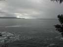 ./images/koeye/fitz-hugh/20210301/fitz-hugh20210301_130002.jpg
