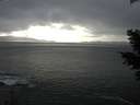 ./images/koeye/fitz-hugh/20210301/fitz-hugh20210301_155502.jpg