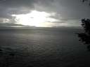 ./images/koeye/fitz-hugh/20210301/fitz-hugh20210301_160002.jpg