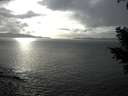 ./images/koeye/fitz-hugh/20210301/fitz-hugh20210301_160502.jpg