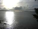 ./images/koeye/fitz-hugh/20210301/fitz-hugh20210301_162002.jpg