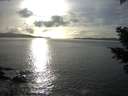 ./images/koeye/fitz-hugh/20210301/fitz-hugh20210301_163502.jpg