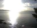 ./images/koeye/fitz-hugh/20210301/fitz-hugh20210301_164502.jpg
