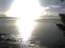./images/koeye/fitz-hugh/20210301/fitz-hugh20210301_165501.jpg