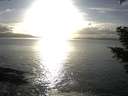 ./images/koeye/fitz-hugh/20210301/fitz-hugh20210301_170001.jpg